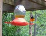 Oriole Bird Feeder