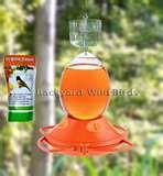 Oriole Bird Feeder pictures