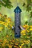 Bird Feeders Canada photos