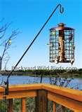 Squirrel Proof Bird Feeder Pole images Squirrel Proof Bird Feeder Pole images