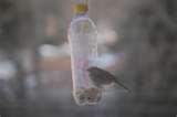 Plastic Bird Feeders