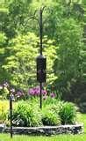 Squirrel Proof Bird Feeder Pole pictures