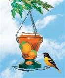 photos of Oriole Bird Feeder