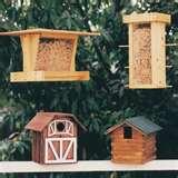 pictures of Bird Feeder Plan pictures of Bird Feeder Plan