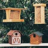 pictures of Bird Feeder Plan