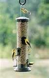 Tube Bird Feeders