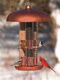 pictures of Tube Bird Feeder pictures of Tube Bird Feeder
