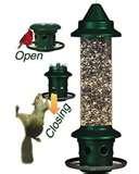 pictures of Brome Bird Feeder