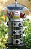 pictures of Tube Bird Feeders