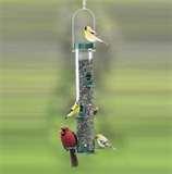 pictures of Tube Bird Feeders