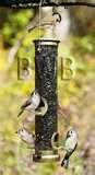 Tube Bird Feeder pictures Tube Bird Feeder pictures