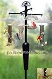 images of Bird Feeder Poles