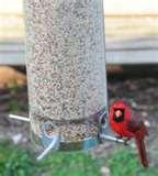 images of Tube Bird Feeder images of Tube Bird Feeder