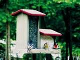 photos of Hopper Bird Feeder photos of Hopper Bird Feeder