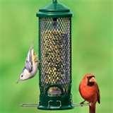 Tube Bird Feeders pictures Tube Bird Feeders pictures