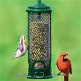 Tube Bird Feeders pictures