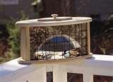 pictures of Deck Bird Feeder