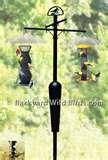 Bird Feeder Poles