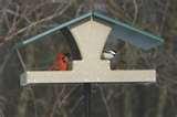 Hopper Bird Feeder Hopper Bird Feeder