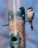 images of Tube Bird Feeders