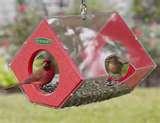 pictures of Cardinal Bird Feeders