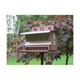photos of Bird Feeder Seed photos of Bird Feeder Seed