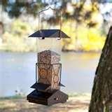 Squirrel Bird Feeder photos