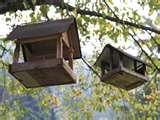 pictures of Bird Feeders Plans