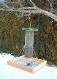 photos of Bird Feeder Seed