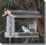 Bird Feeders Plans photos