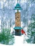 images of Squirrel Bird Feeder