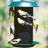 Bird Feeder Seed