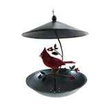pictures of Cardinal Bird Feeders pictures of Cardinal Bird Feeders