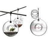 Hanging Bird Feeder pictures Hanging Bird Feeder pictures
