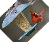 images of Cardinal Bird Feeders images of Cardinal Bird Feeders