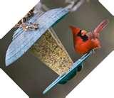 images of Cardinal Bird Feeders