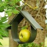 pictures of Hanging Bird Feeder