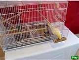 No Mess Bird Feeder No Mess Bird Feeder