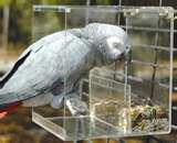 images of No Mess Bird Feeder