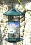 images of Peanut Bird Feeder