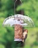 Peanut Bird Feeder images