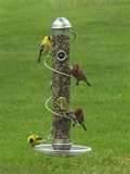Metal Bird Feeders pictures Metal Bird Feeders pictures