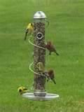 Metal Bird Feeders pictures