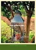 pictures of Peanut Bird Feeder