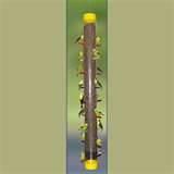 pictures of Finch Bird Feeders pictures of Finch Bird Feeders