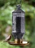 Lantern Bird Feeder pictures