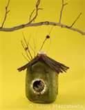 Milk Jug Bird Feeder pictures Milk Jug Bird Feeder pictures
