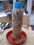 Pictures of Water Bottle Bird Feeder