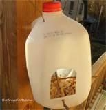 Milk Jug Bird Feeder photos Milk Jug Bird Feeder photos