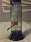Water Bottle Bird Feeder Photos Water Bottle Bird Feeder Photos